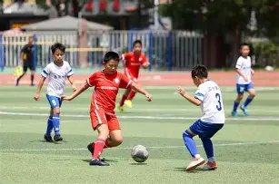 惊世大逆转,法布雷加斯,情绪失控,爱游戏体育娱乐官网,H5爱游戏体育娱乐官网,爱游戏体育娱乐官网在线娱乐平台