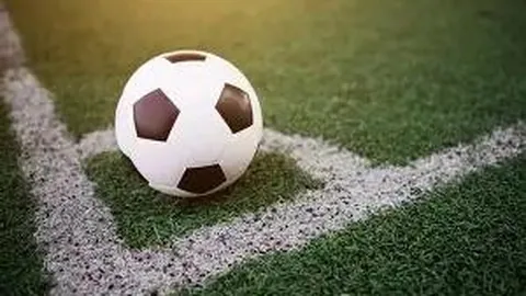 《瑞安-威廉斯传奇之旅：追寻外祖父遗愿，富勒姆前星将正式归入印度国籍》